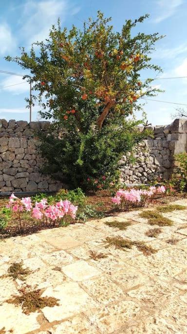 Trullo Mami Villa Putignano Eksteriør bilde
