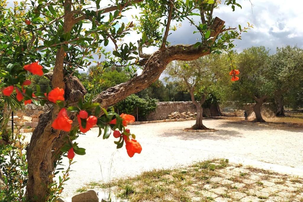 Trullo Mami Villa Putignano Eksteriør bilde